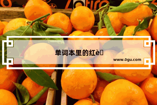 单词本里的红膜是什么