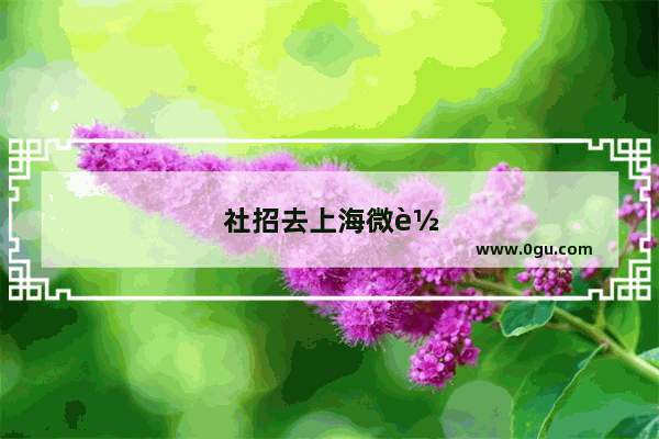 社招去上海微软当码农 难度如何