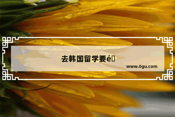 去韩国留学要面对什么