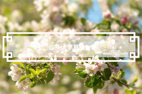 汕头大学就业怎么样