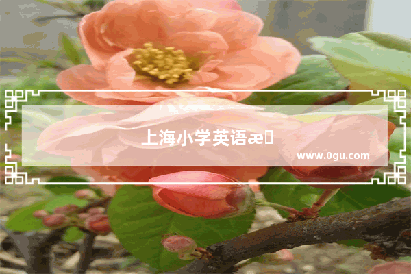 上海小学英语怎么学比较好