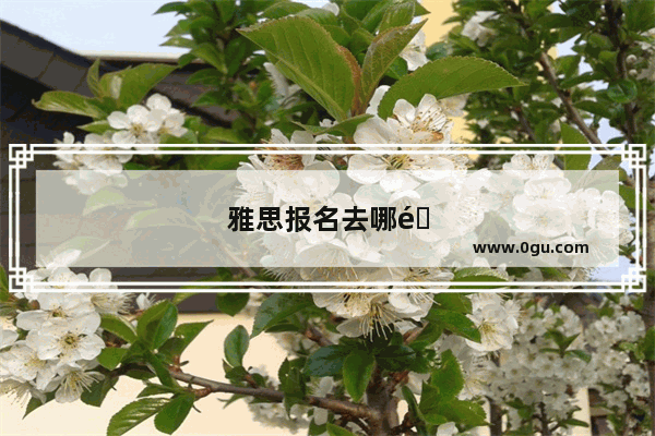 雅思报名去哪里考试