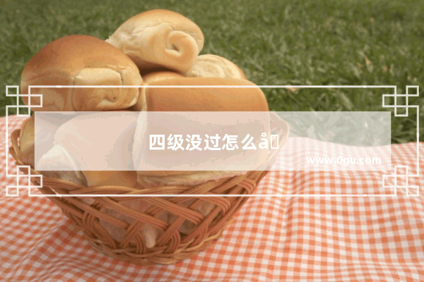 四级没过怎么办