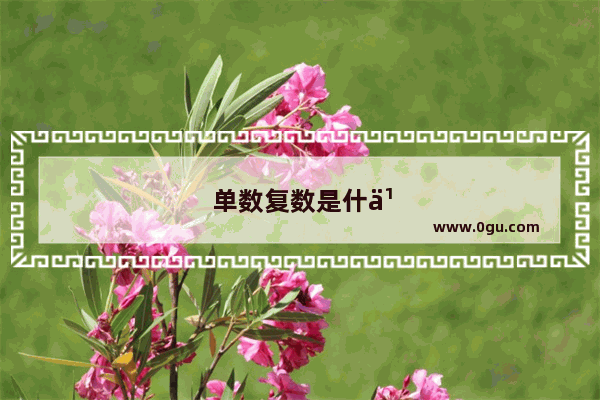 单数复数是什么