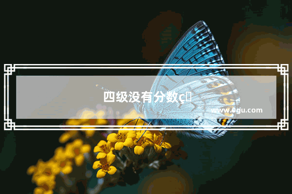 四级没有分数的原因