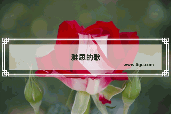 雅思的歌