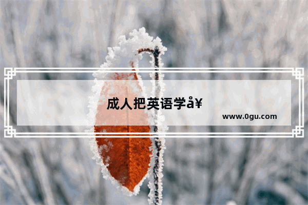 成人把英语学好会有哪些好的职业可供选择