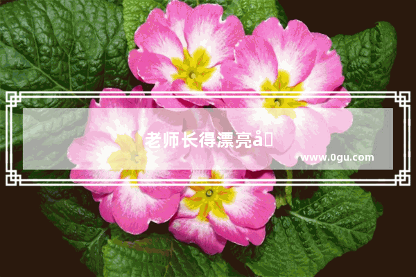 老师长得漂亮又会打扮 什么感觉