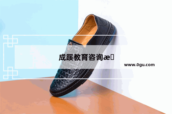 成蹊教育咨询有限公司怎么样