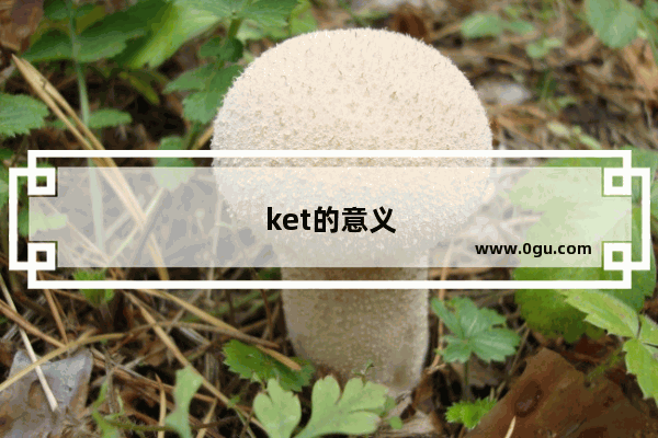 ket的意义
