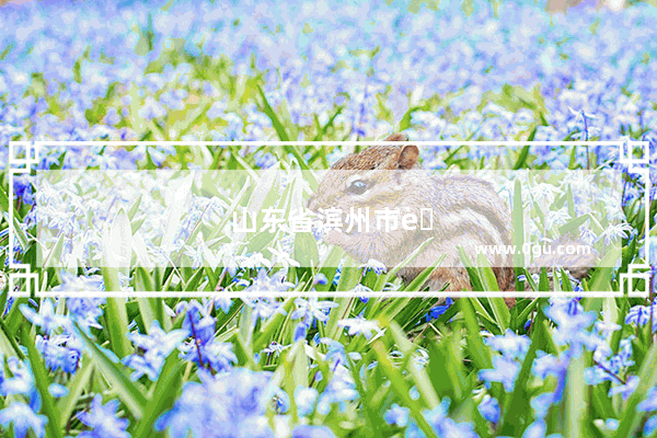 山东省滨州市英语
