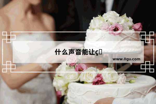什么声音能让猫迅速过来