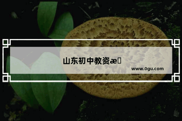 山东初中教资报考条件
