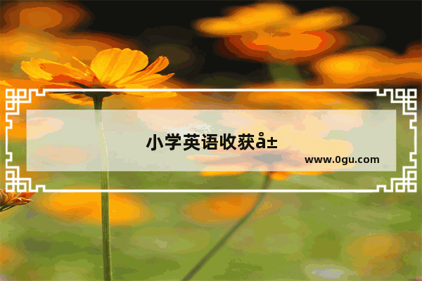 小学英语收获展示栏