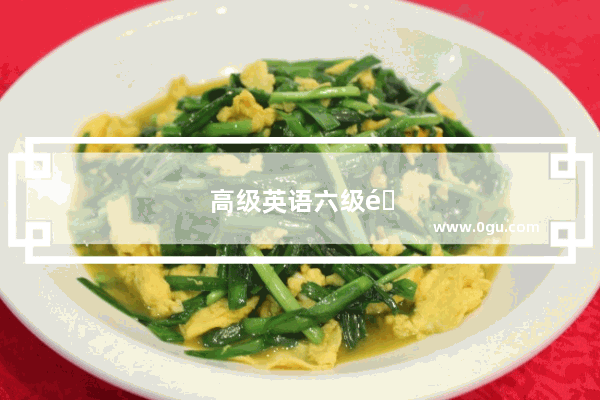 高级英语六级选修课