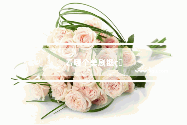 看哪个美剧锻炼英语听力的软件