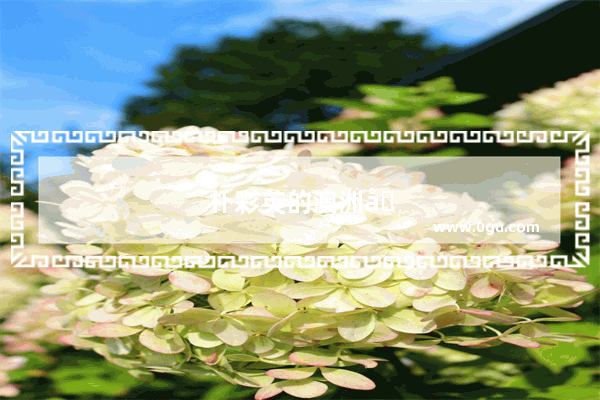 朴彩英的澳洲口音怎么学
