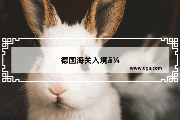 德国海关入境会问什么
