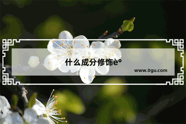 什么成分修饰谓语动词