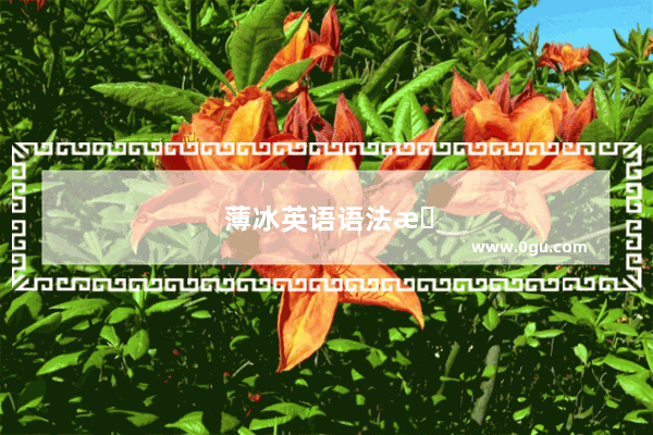 薄冰英语语法手册第五版高中生买适合嘛