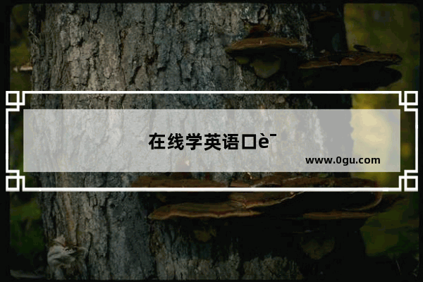 在线学英语口语 如何快速提升? - 立刻说外教英语