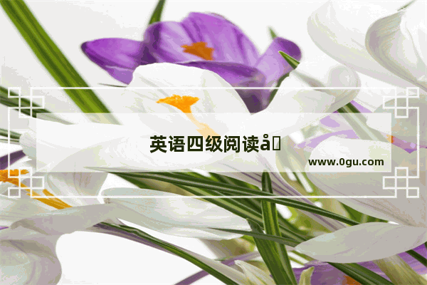 英语四级阅读基础教学计划怎么写