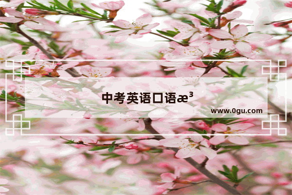 中考英语口语注意事项和应试技巧