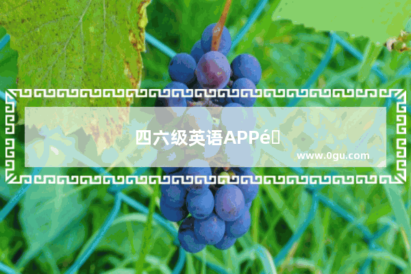四六级英语APP那个好