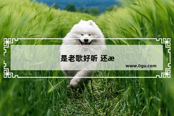 是老歌好听 还是新歌好听？有哪些好听的歌曲呢