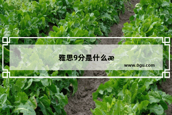 雅思9分是什么水平