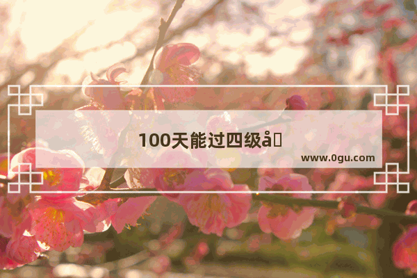 100天能过四级吗