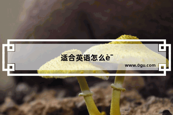 适合英语怎么说短语