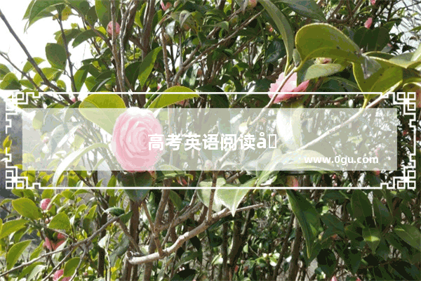 高考英语阅读含义