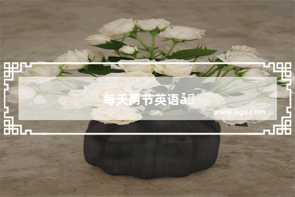 每天两节英语口语课可以吗