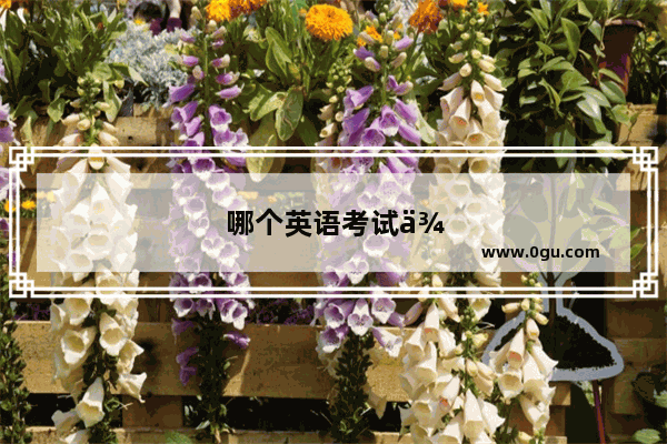 哪个英语考试便宜又好考