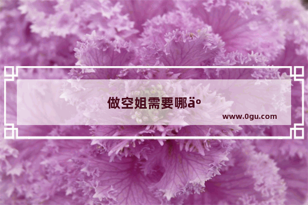 做空姐需要哪些标准以及条件