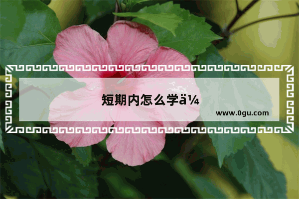 短期内怎么学会英语口语技巧