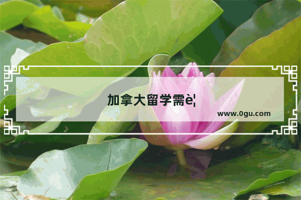 加拿大留学需要哪些签证材料