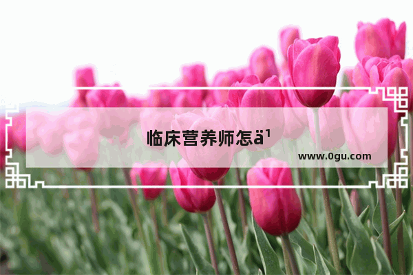 临床营养师怎么报名