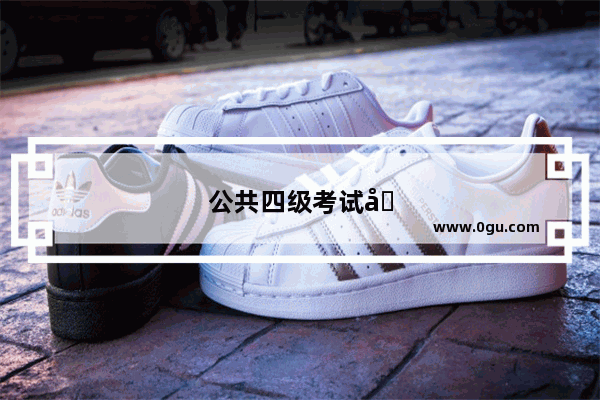 公共四级考试可以用手机报名吗