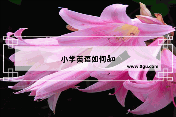 小学英语如何备案教师资格证