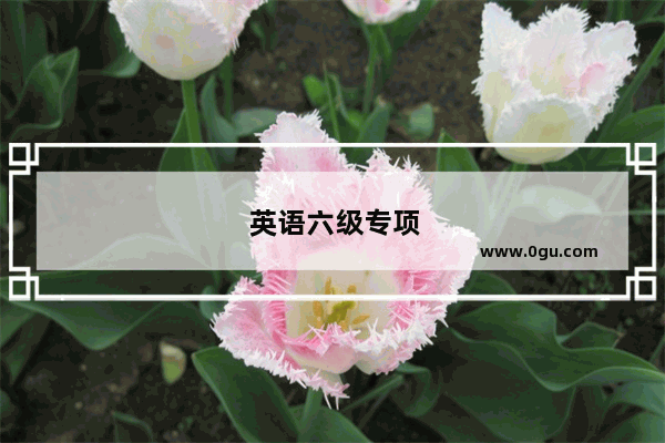 英语六级专项