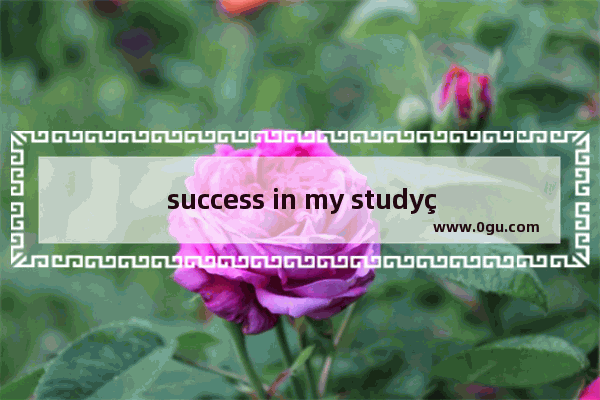 success in my study的英语作文