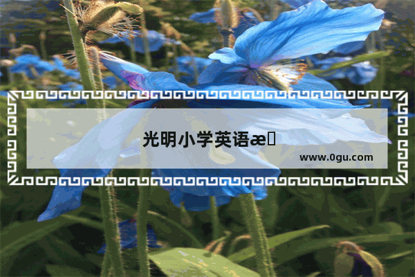 光明小学英语是什么版本的