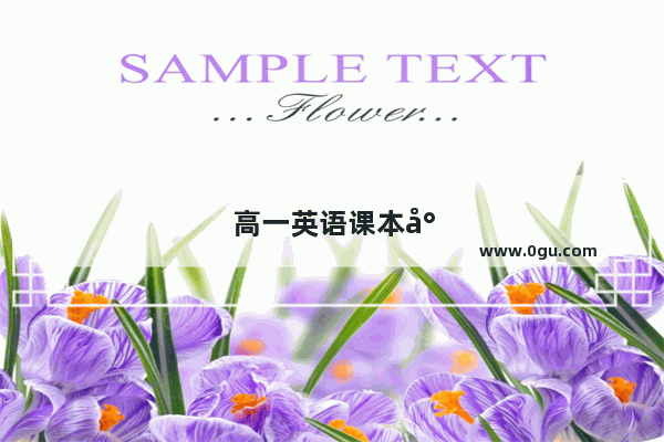 高一英语课本封面是哪里的桥
