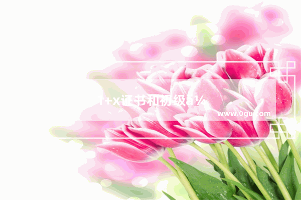 1+x证书和初级会计证书哪个含金量高
