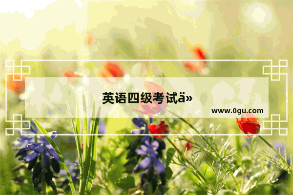 英语四级考试什么时间进场考试