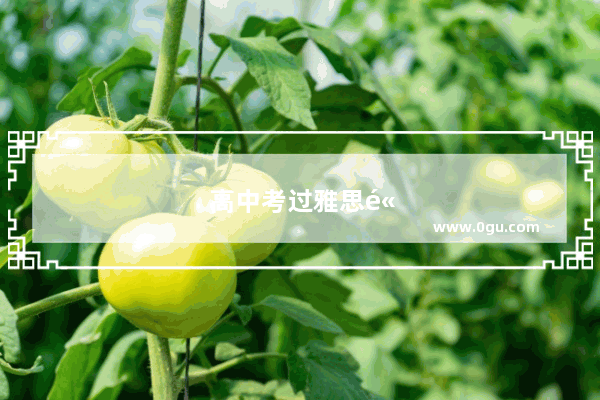 高中考过雅思高考能考几分