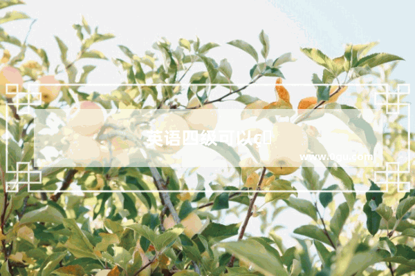 英语四级可以申请复查吗