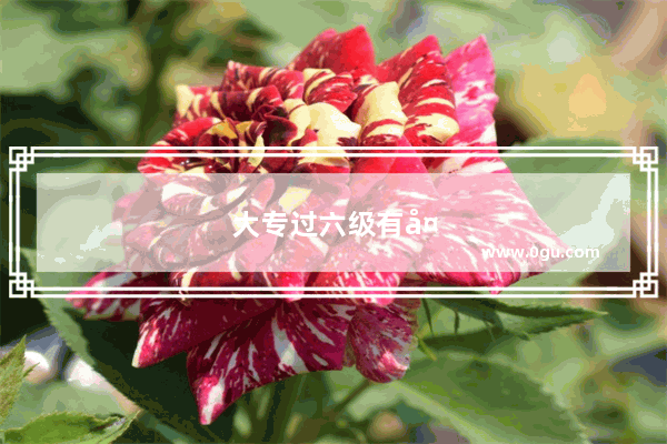 大专过六级有多厉害